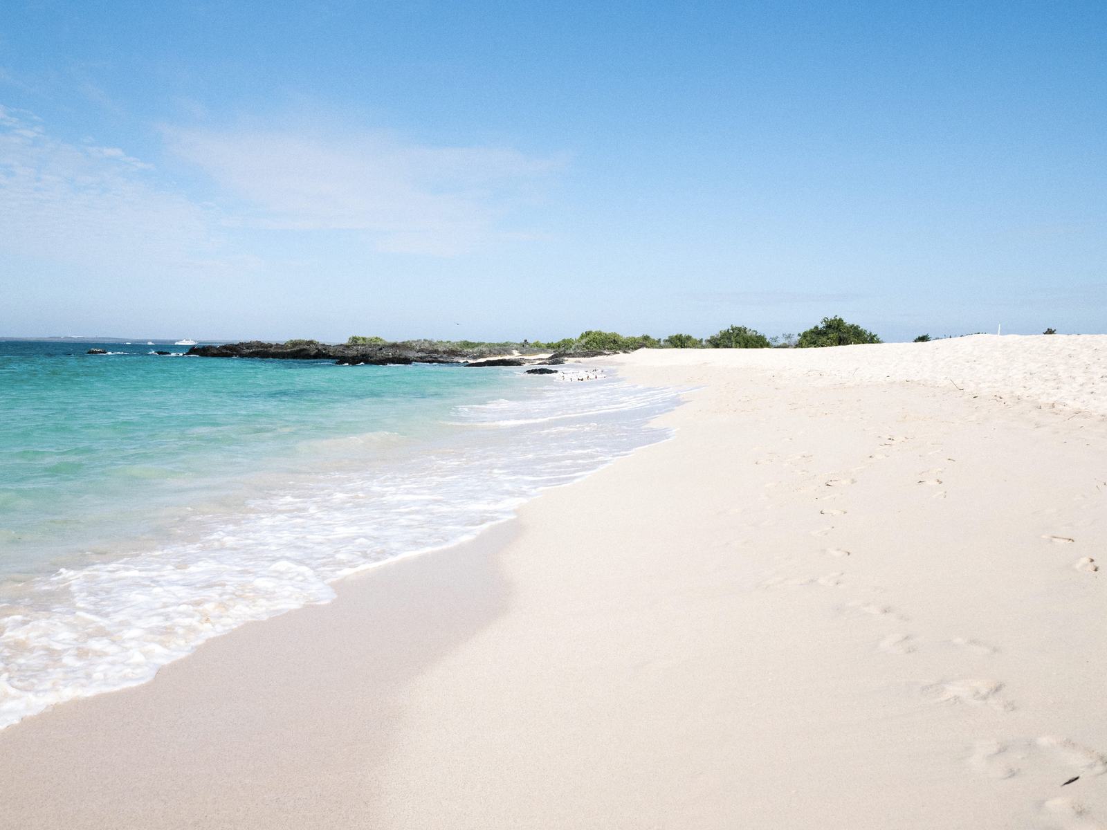 Playa de arena blanca y aguas turquesa en Galápagos