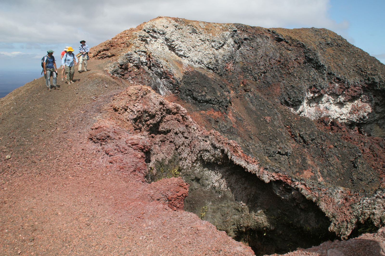Volcán Sierra Negra y Las Tintoreras