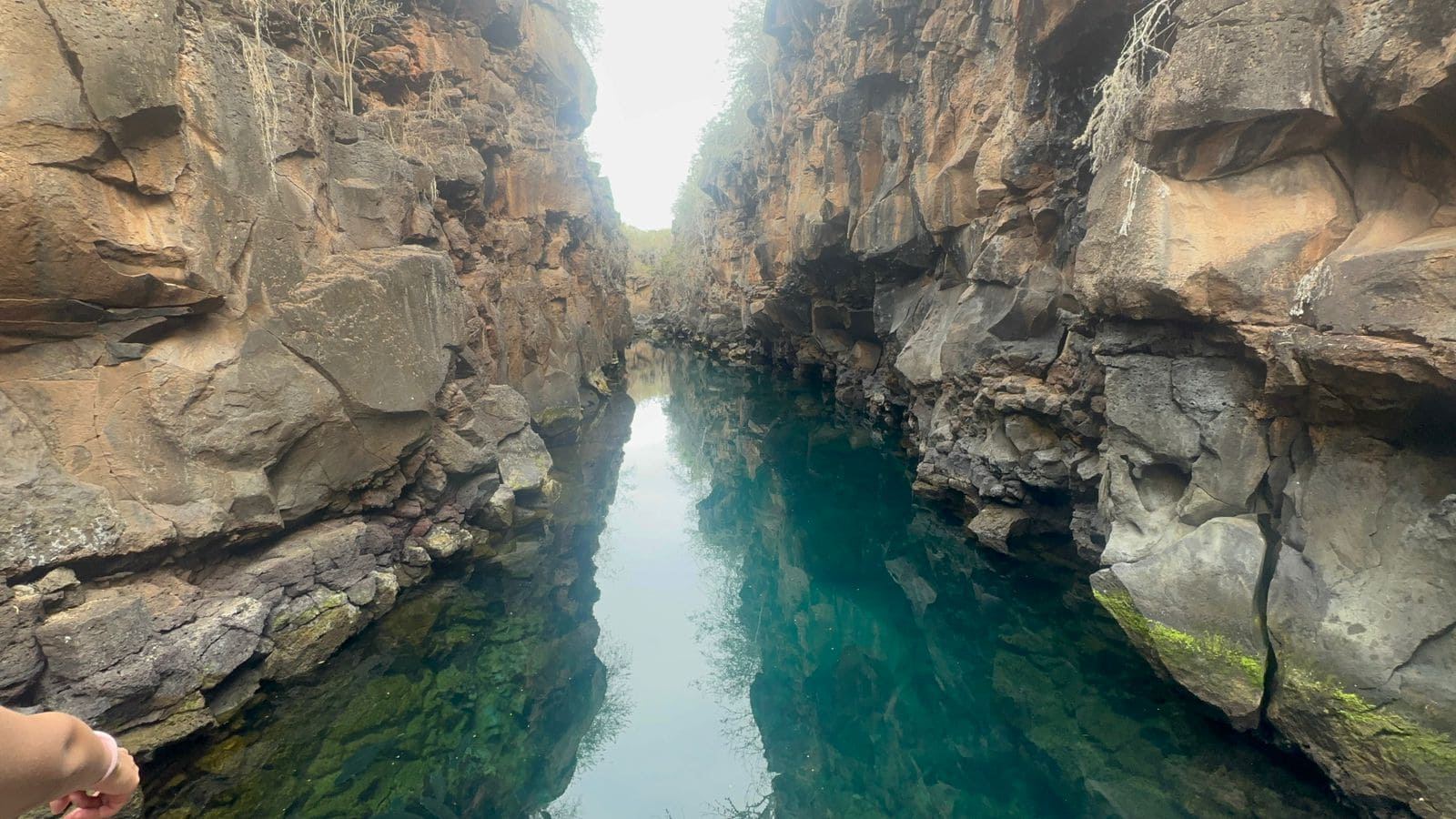 Tortuga Bay, Playa de los Alemanes y Las Grietas