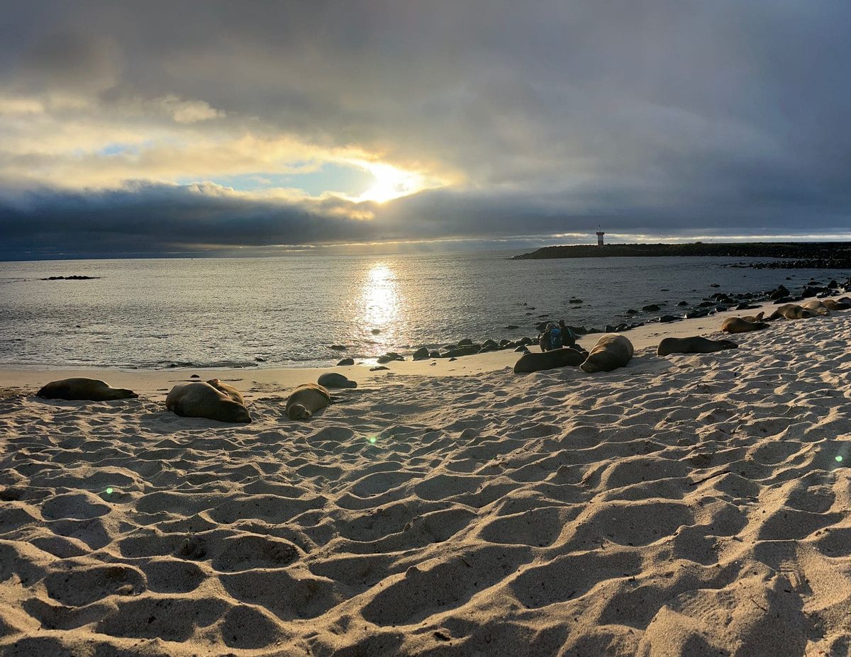 Combinado 2 Islas — Playa Mann