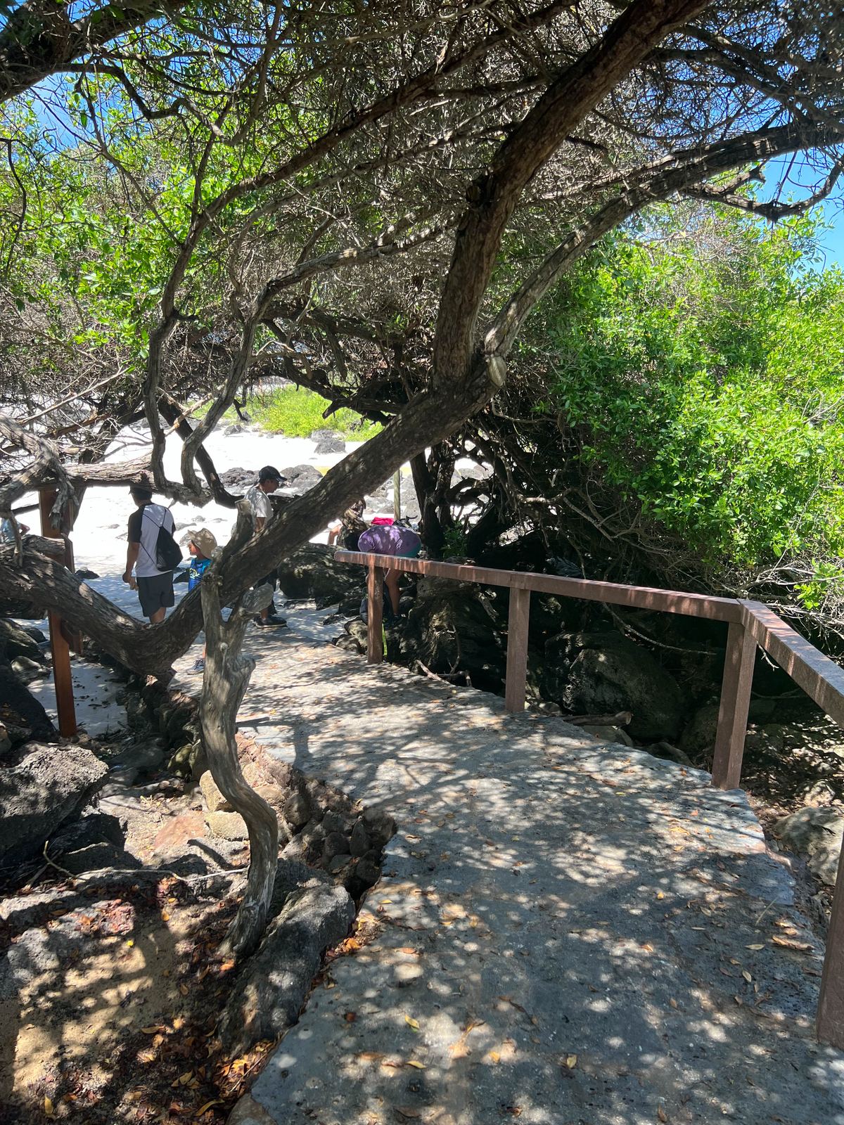 Parte Alta: Laguna El Junco y Puerto Chino