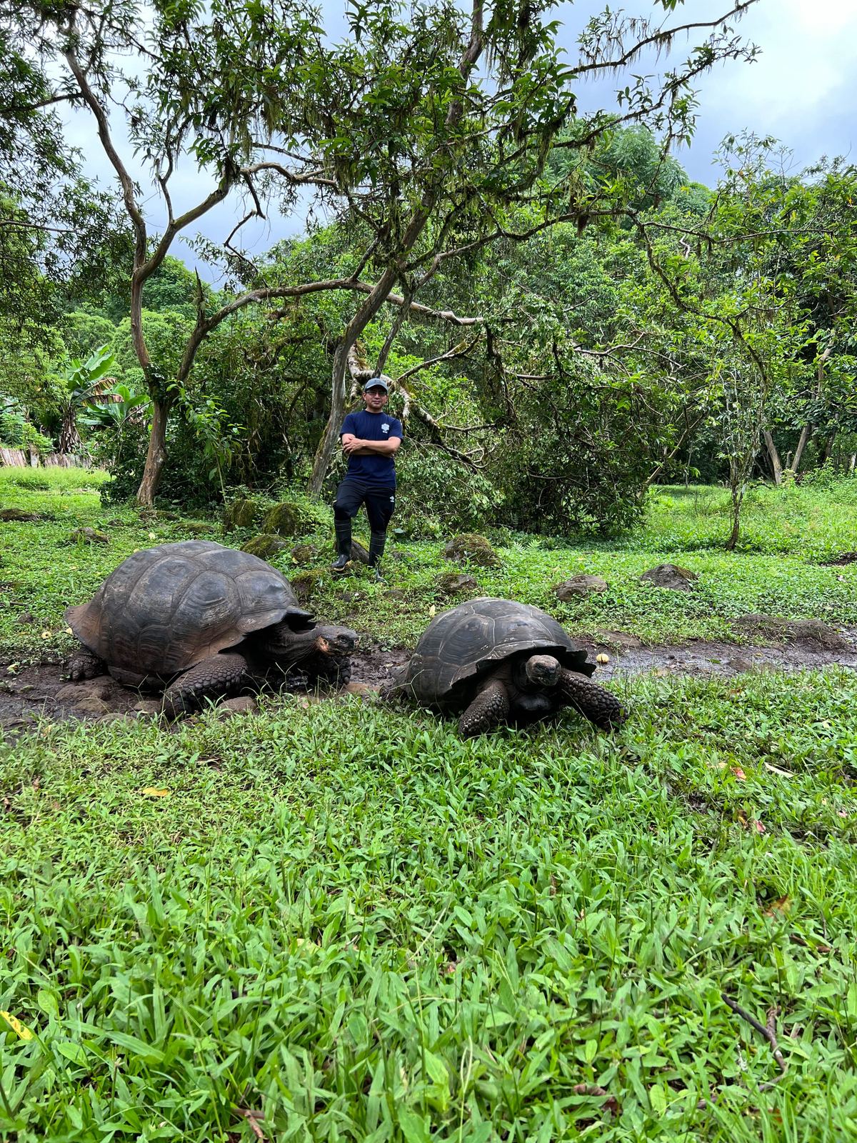 Tortuga Bay y Parte Alta