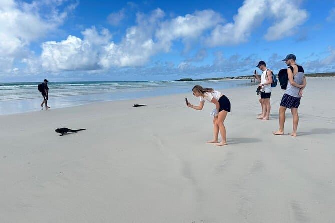 Tortuga Bay y Parte Alta