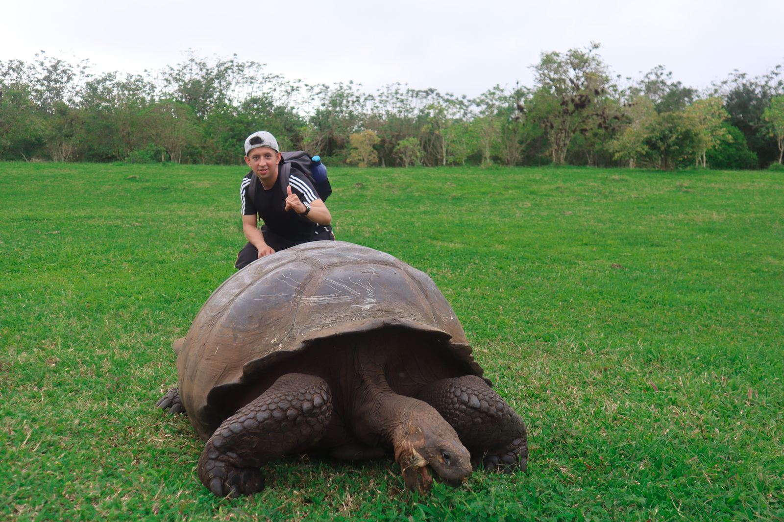Tortuga Bay y Parte Alta